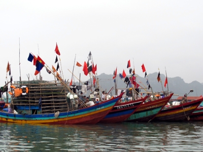 hoạt động nghề cá