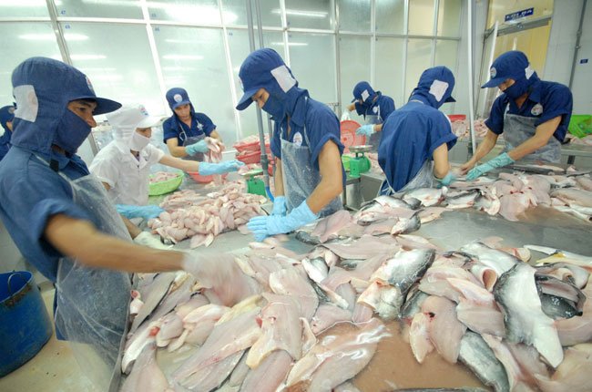 Việt Nam sẽ tổ chức Hội nghị bàn tròn về cá tra tại Seafood Expo Global 2017 - Brussels, Bỉ