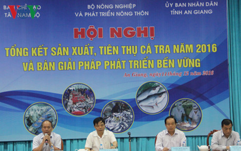 hội nghị