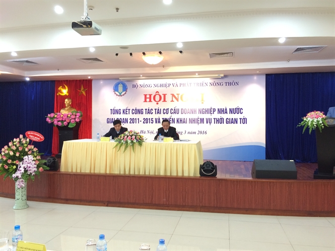Hội nghị