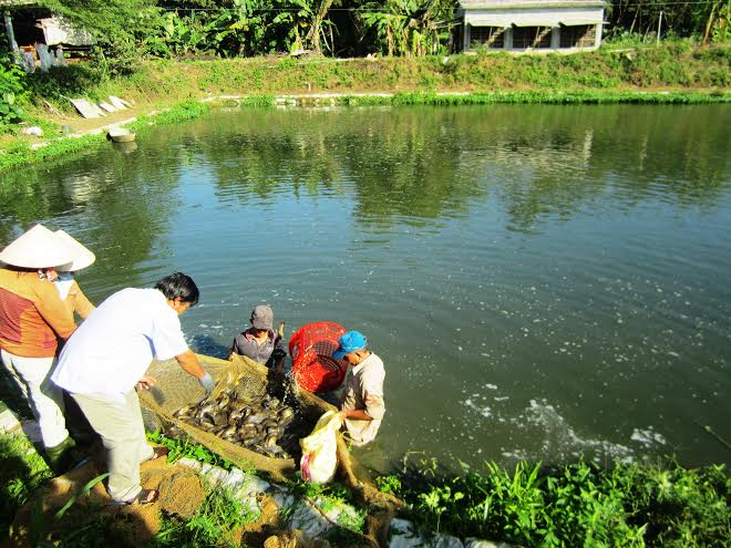 hội thảo đầu bờ