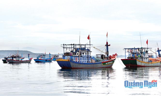 hợp đồng đưa tàu ra nước ngoài khai thác hải sản