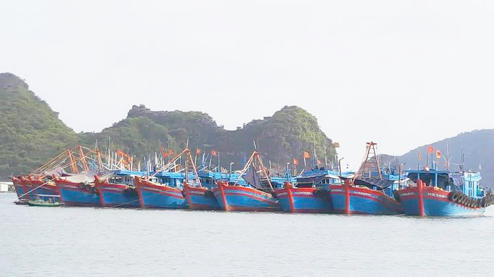 Kết quả hợp tác quốc tế của ngành thủy sản Việt Nam