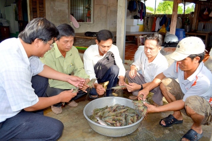 hợp tác xã thủy sản