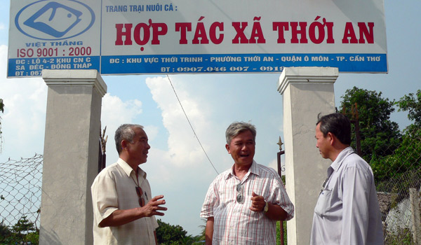 htx thới an cần thơ