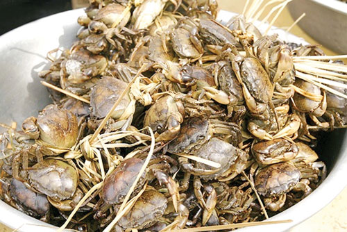 Ảnh minh họa cua đồng (Nguồn: Internet)