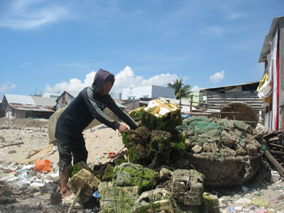 bẫy nhử tôm hùm