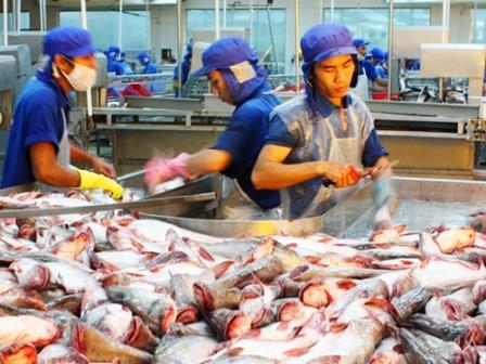 Doanh nghiệp xuất khẩu cá tra