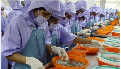 tôm thẻ chân trắng