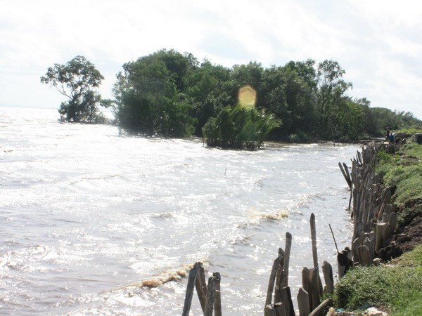 kè biển An Ninh Đông