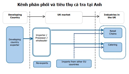 xuất khẩu cá tra