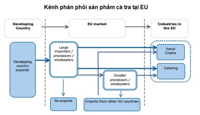 kênh phân phối cá tra