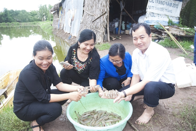 thu hoạch tôm thẻ chân trắng