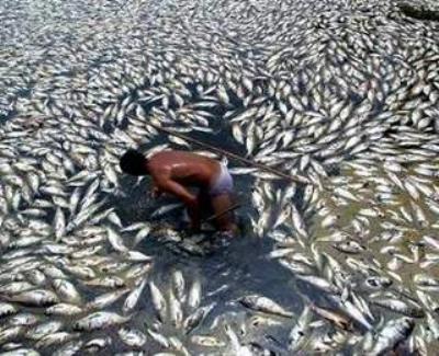 kết quả phòng chống bệnh thủy sản