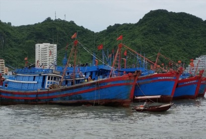 Phó Chủ tịch Vasep: Việt Nam có thể bị EU “giơ thẻ vàng”