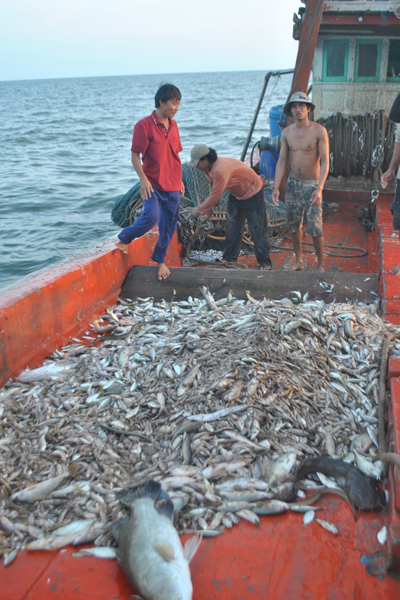 khai thac ca kien giang