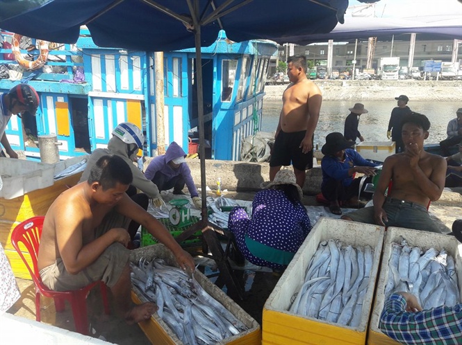 khai thác thủy sản, thủy sản, giá cá, giá cá hố trắng, cá hố trắng