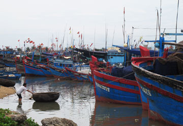 khai thác cá ngừ