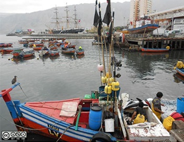 khai thác cá ở Chile