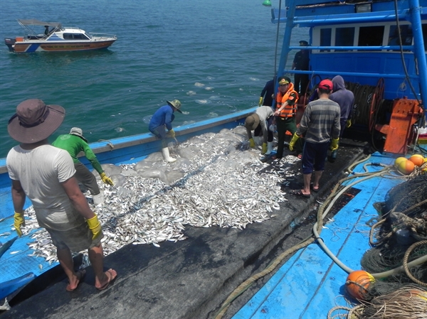 Báo động tình trạng giã cào