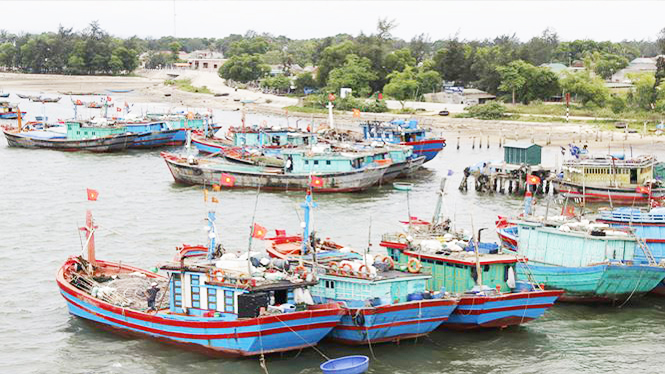 Trở lại bãi ngang sau mùa 'biển chết'