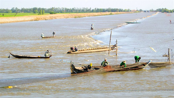 Đồng Tháp quyết liệt bảo vệ nguồn lợi thủy sản