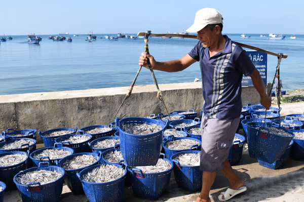 VASEP đề xuất các hoạt động khắc phục thẻ vàng IUU