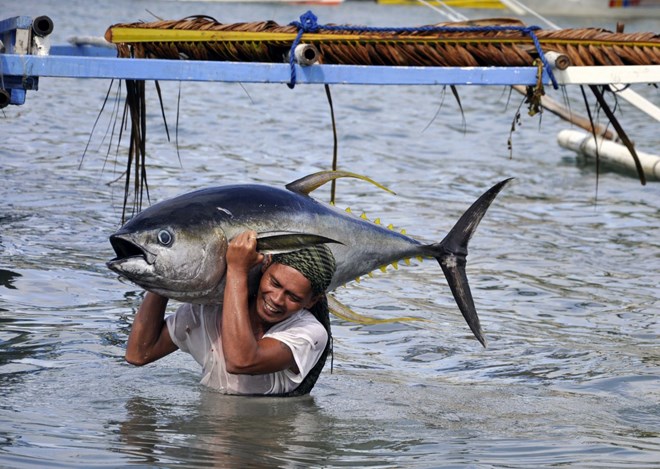 “Tàu lạ” quấy rối ngư dân Philippines ở Biển Đông