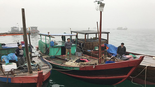 Quảng Ninh liên tiếp bắt giữ phương tiện khai thác thủy sản trái phép
