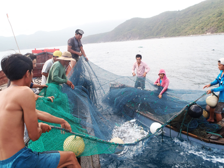 khai thác thủy sản