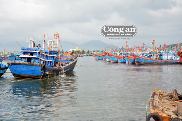 Ngư dân miền Trung: Không có lệnh cấm nào hết!