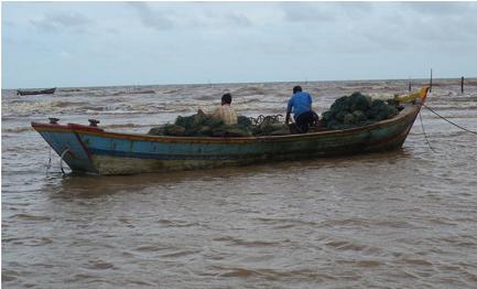 khai thác thủy sản
