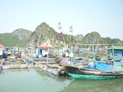 khai thác, sản lượng thủy sản