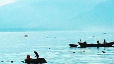 khai thác tôm hùm