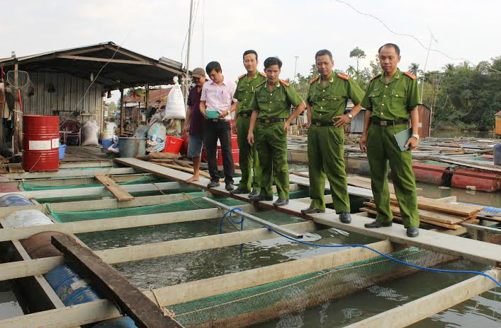 khảo sát làng bè cá