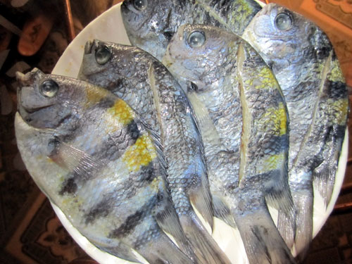 cá thia, cá khô