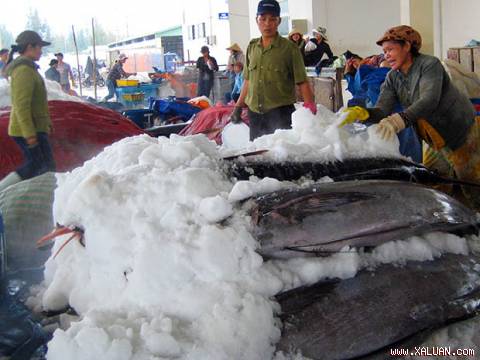 Những chuyến biển của người chồng với những khoan cá đầy không chỉ mang lại nguồn kinh tế cho gia đình mà cả niềm vui cho những người vợ ngày đêm mong ngóng tàu về.