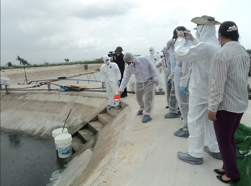 khoanh vùng dịch bệnh