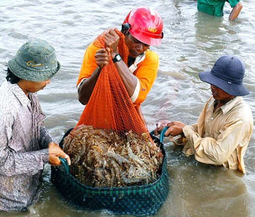 khong su dung khang sinh