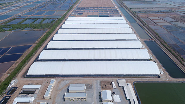 Khu sản xuất tôm công nghệ cao