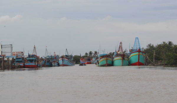 khu neo đậu trú bão