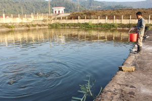 khu nuôi thủy sản