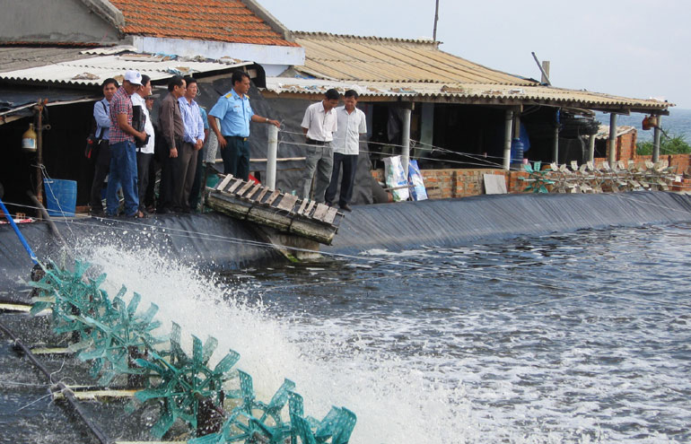 khu nuôi tôm trái phép