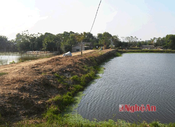 khu vực nuôi thủy sản