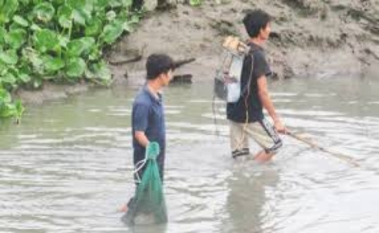 kích điện bắt cá