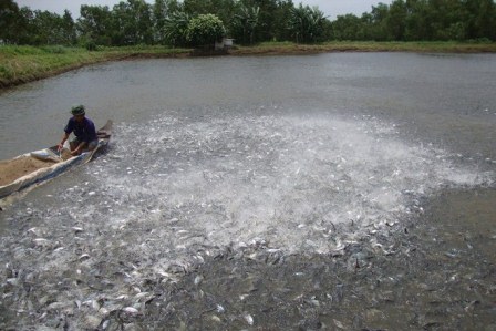 kiểm dịch