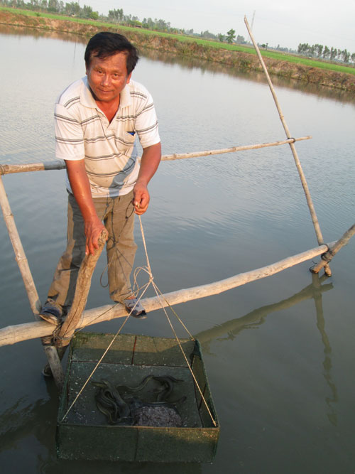 kiểm tra cá chình