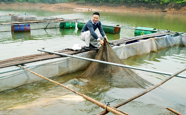 kiểm tra cá lăng