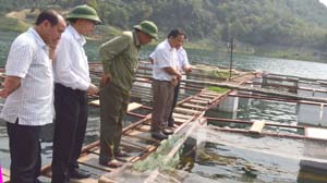Đồng chí Hoàng Việt Cường, Bí thư Tỉnh ủy cùng đoàn công tác kiểm tra mô hình.