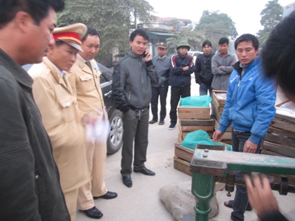 kiểm tra động vật